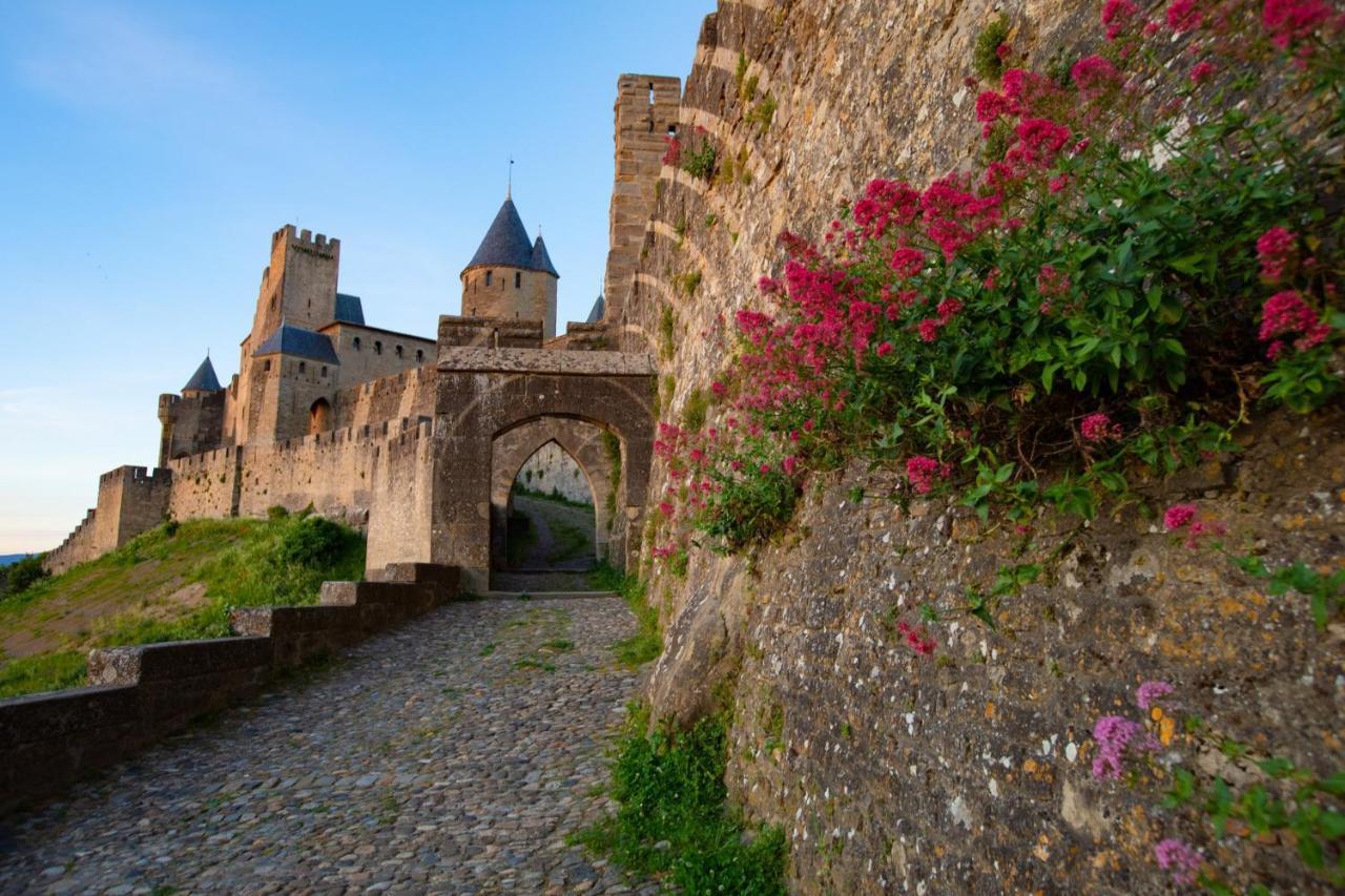 Tout Confort ! Climatisation, Centre-Ville, Parking, Terrasse, Wifi, Netflix Carcassonne Exterior foto